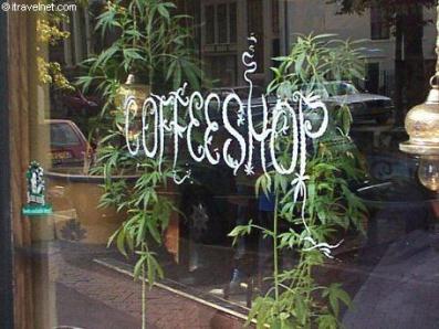 Coffee Shop Revenue on Amsterdam Coffee Shop Cannabis